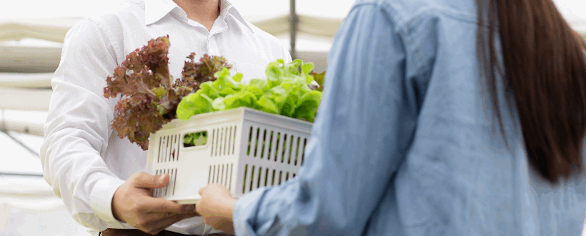 Inocuidad Alimentaria