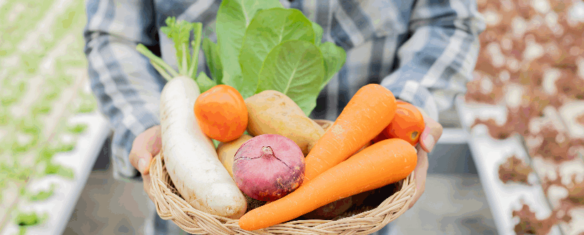 Inocuidad alimentaria