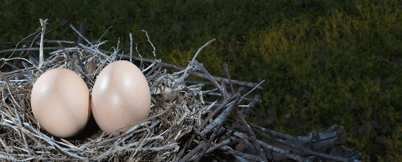 Seguridad Alimentaria