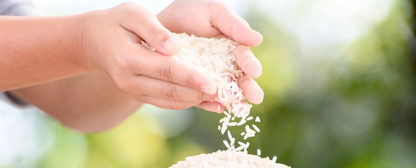 Día Mundial De La Alimentación