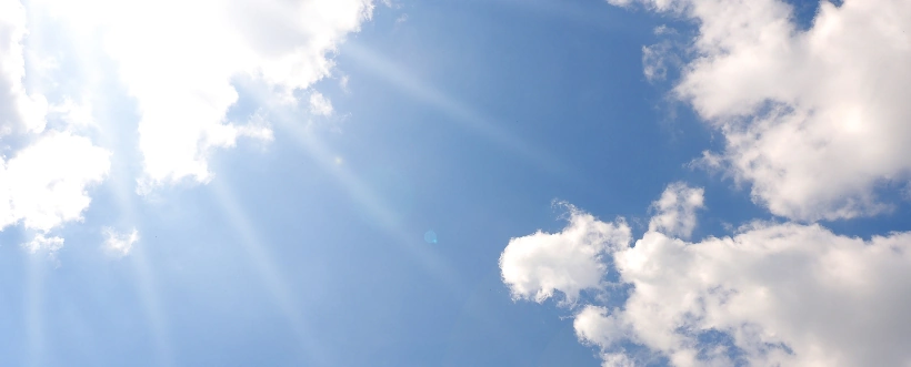 Día Mundial Del Medio Ambiente