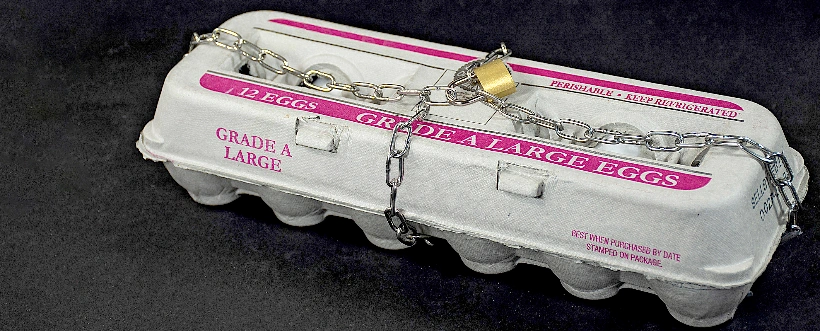 Seguridad Alimentaria