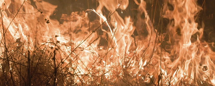 Gestión De Residuos