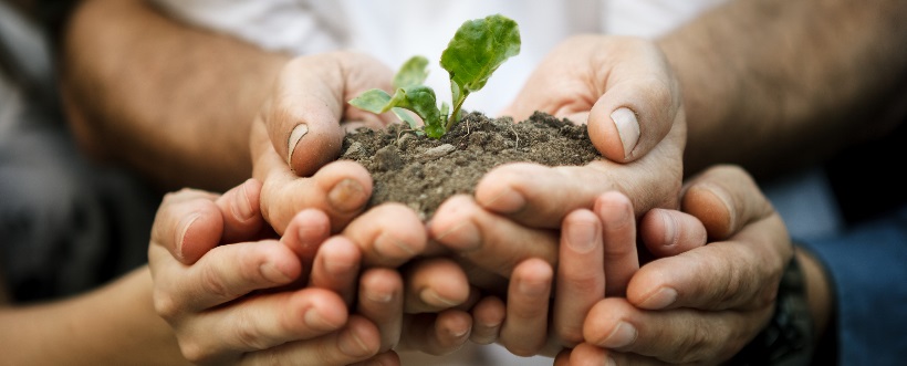 Sistema de Gestión Ambiental