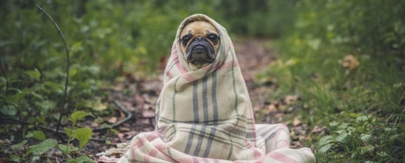 Día Mundial Del Medio Ambiente