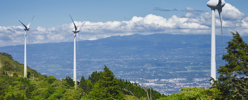 Sostenibilidad Y Gestión Empresarial