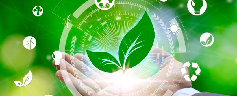 Factores De Riesgo Ambiental