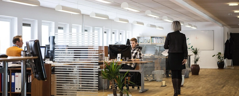 Mejora Continua En Las Organizaciones