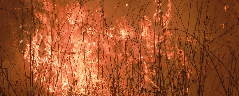 Cambio Climatico ISO 14001