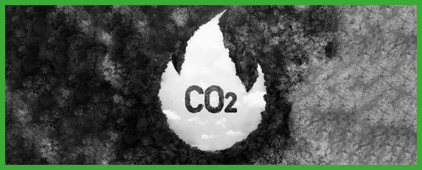 Primeros pasos en el Cálculo de la Huella de Carbono: guía para organizaciones