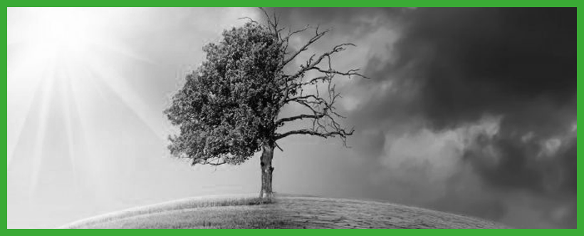 El gran reto del CSO frente al objetivo de neutralidad