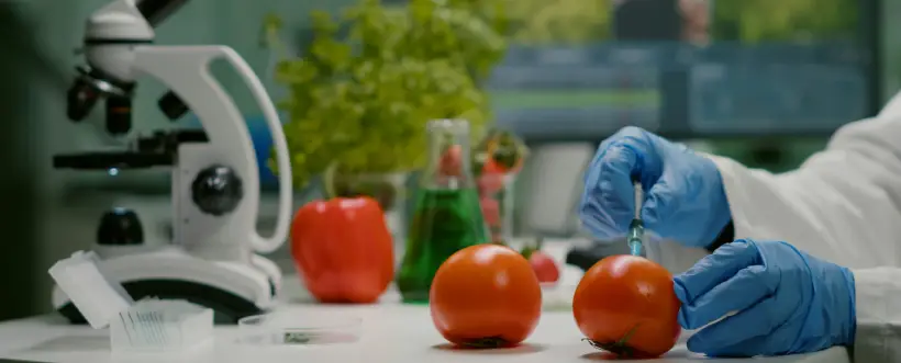 Última versión de FSSC 22000